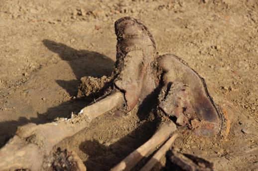 Restes d'un soldat de la Grande Guerre découverts lors d'un diagnostic archéologique